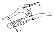 如图是自行车的刹车手柄示意图,请画出动力和阻力的力臂.