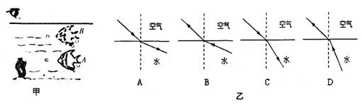 在水中a处有一条鱼,但岸上的人却看到这条鱼在b处,图乙所示的四幅光