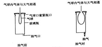 初中物理试题 大气压强的存在 如图所示的装置,抽气前气球内气.
