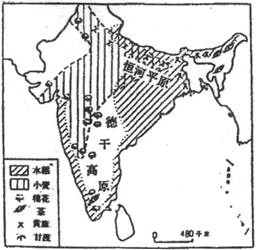 印度的水稻主要分布在__________,棉花主要分布在