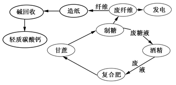 图6为某企业以循环经济的新观念建立的循环经济产业链