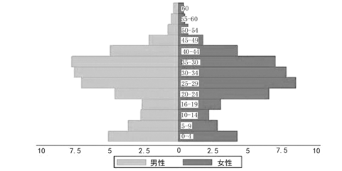 第六次人口普查金字塔_第六次人口普查调查表(3)