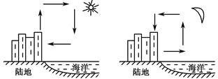 下列四幅"海陆风示意图"中,表示近地面大气运动正确方向的是 ( )