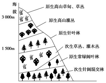 下图为某山脉山坡的垂直植被分布图,读图完成小题.