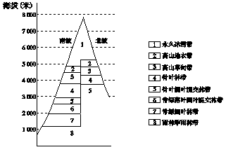 图1为某山地的垂直带谱示意图.读图,回答1-2小题.