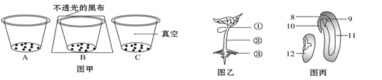 (2)取30粒大豆种子,随机平均分3份初中生物试题 探究种子萌发的条件