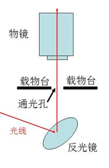 初中生物试题 显微镜的基本构造和使用方法 光学显微镜是学习生物学和