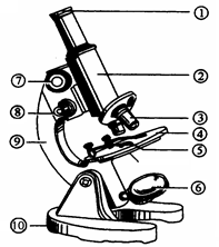 下图示意了使用显微镜观察时的操作规范,请在横线上填
