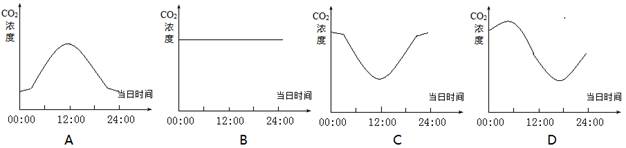 初中生物试题 呼吸作用的概念 在夏季晴好的一天中,一个生长着.