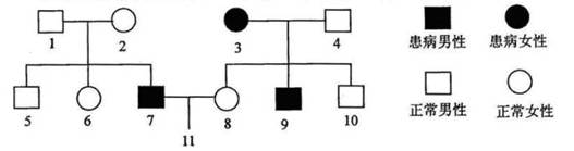 分析下面的白化病遗传图解,请说明11号个体可能的基因组成是()