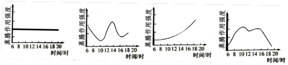 下图所示曲线能正确表示在晴朗的高温天气状态下,绿色植物蒸腾作用