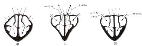 (7)ͼ๤ʾͼ,ͼش