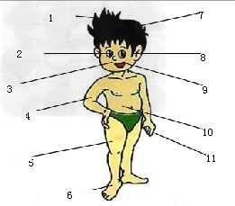 看图写出相对应的人体部分.