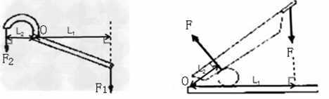 画出如图中各种杠杆的动力臂和阻力臂.