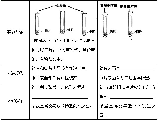 【实验用品】铁片,铜片,镁片,稀盐酸,硫酸铜溶液,硝酸银溶液 【实验