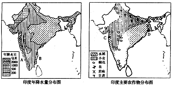 下面是印度年降水量和主要农作物分布图,据图回答