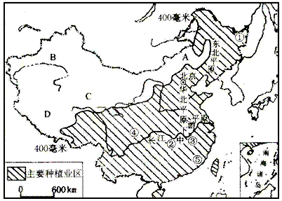 初中地理试题 中国的经济发展 读"我国主要粮食作物小麦,水稻.