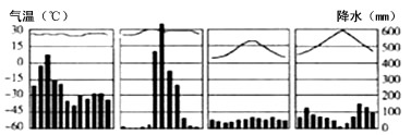 下面四幅气候类型图,从左到右表示的气候类型依次是( )