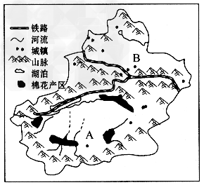 材料二:近年,新疆地区的棉花产量占全国总产量的三分之一,占全球总