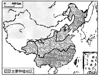 初中地理试题 中国的经济发展 读"我国主要种植业分布图",完.