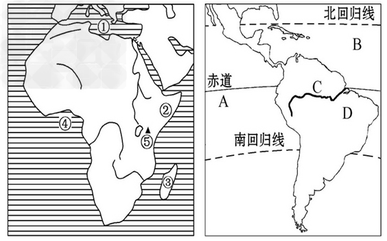 非洲地图人口_非洲人口图片(2)