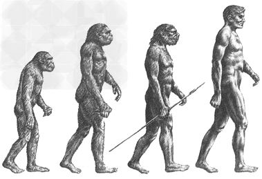 上图为《原始人的进化》示意图请回答: (1)通过上图,你可以得到什么