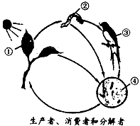 政治体制什么意思_两者政治体制分别是什么_政治体制具体是什么