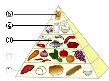 我国的营养学家将食物分为五类,并形象设计成"平衡膳食宝塔"(见图)