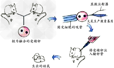 据图回答