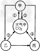 初中生物试题 生态系统的概念 下图为某生态系统中碳循环的示意.