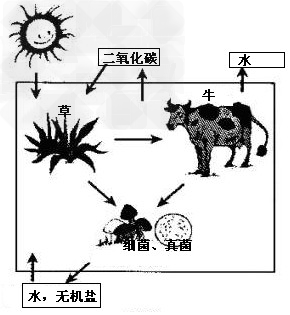 "下图是草原生态系统各成分的关系示意图,请据图回答.