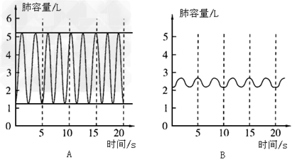 下图中两曲线图表示一个人在两种状态下的呼吸情况.请