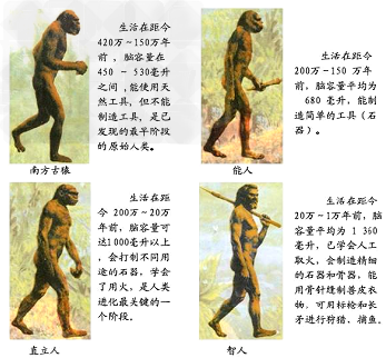 下图是人类进化的四个阶段,请据图回答: (3)世界上各个地方的人从生物