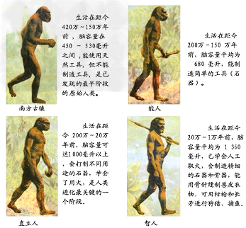 按一般的分类方法现代人类可分为四个种族