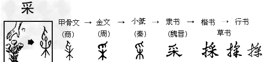 材料二:汉字经过了6000多年的变化,其产生及形体演变过程示例