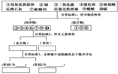 运用树状分类法对下列10种物质进行分类,然后按要求回答问题