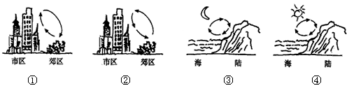 下面4幅示意图中,能正确反映城郊之间,海陆之间热力环