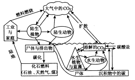 微生物在自然界的碳元素循环中起到什么作用