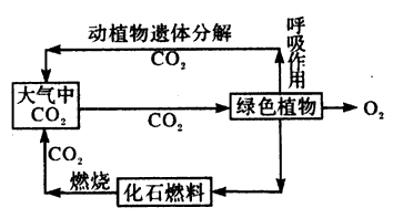 读二氧化碳在自然界中主要循环示意图,回答1~2题