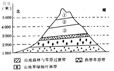 下图表示的是山地垂直自然带的分布,读图回答1—3题.