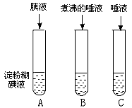 关于酶的特性的实验:如下图,取标号为a,b,c的三支试管,各加入2ml稀