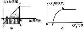 乙两图分别表示光照强度和空气中二氧化碳含量对某绿色植物光合作用的