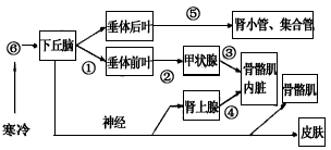 下图为人体对体温与水平衡调节的示意图,①～⑤表示有