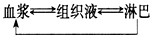 在下列图示中,正确表示血浆,组织液和淋巴三者之间关系的是