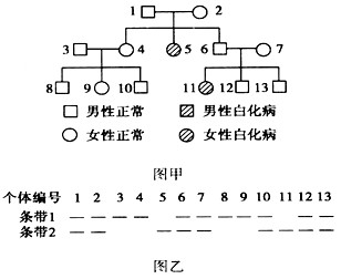 人类白化病是常染色体隐性遗传病.某患者家系的系谱图