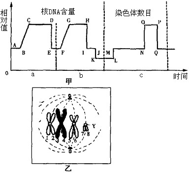 高考的全国细胞练习题_基础高中P387新东生物高中排名遗传2015图片