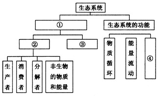 下图是有关生态系统的概念图,其中①②③④分别是