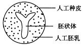 植物的组织培养练习题_高中生物 – 新东方在线网络