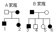 "下图是a,b两个家庭的色盲遗传系谱图,a家庭的母.