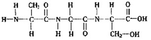 以下是某三肽的结构简图,请回答下列问题